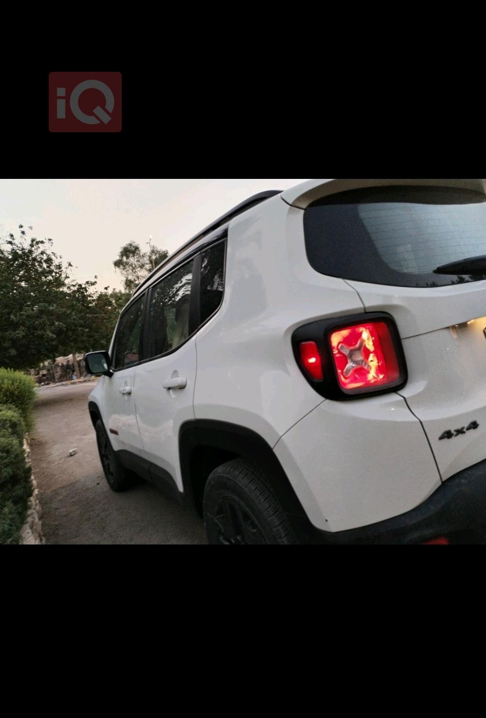 جيب رينيجيد